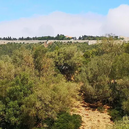 Ocean View Dive House アパート *