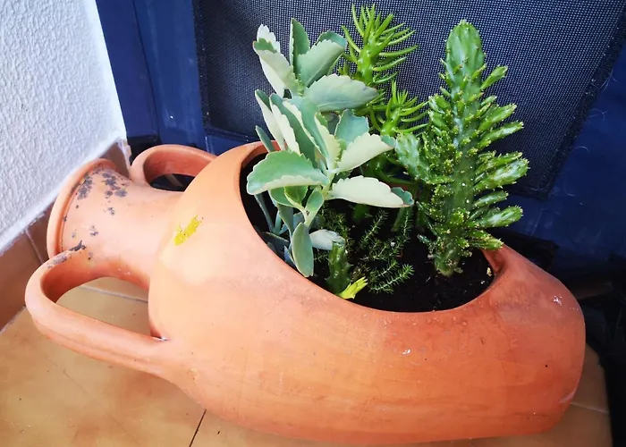 Ocean View Dive House アパート *