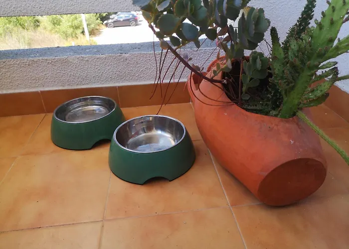 アパート Ocean View Dive House *