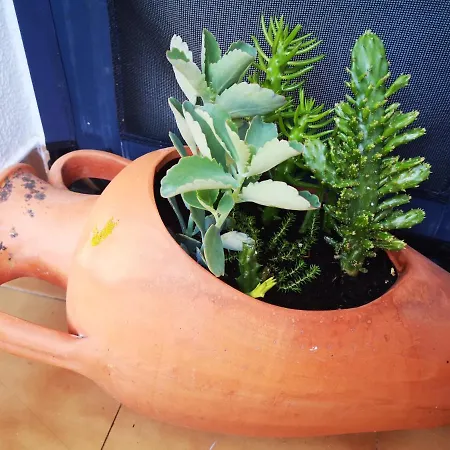 Ocean View Dive House Διαμέρισμα *