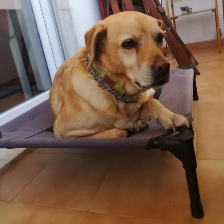 Διαμέρισμα Ocean View Dive House