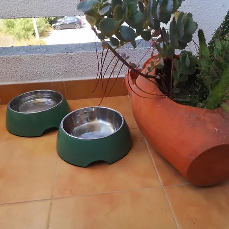 Apartment Ocean View Dive House *