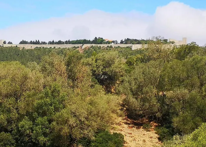 Ocean View Dive House Διαμέρισμα *