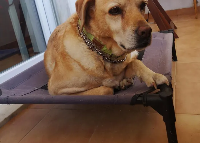 Διαμέρισμα Ocean View Dive House